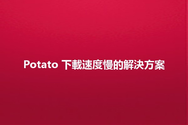 Potato 下載速度慢的解決方案 🚀💻