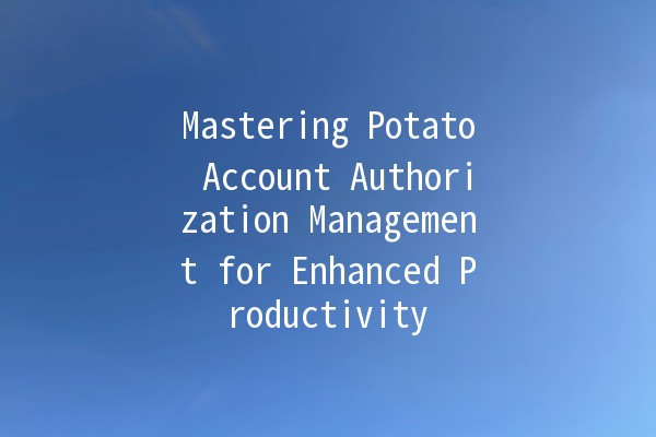 Mastering Potato Account Authorization Management for Enhanced Productivity 🚀