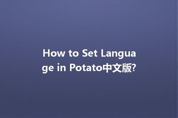 How to Set Language in Potato中文版? 🌟