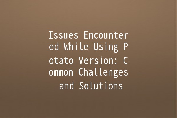 Issues Encountered While Using Potato Version: Common Challenges and Solutions 🥔💻