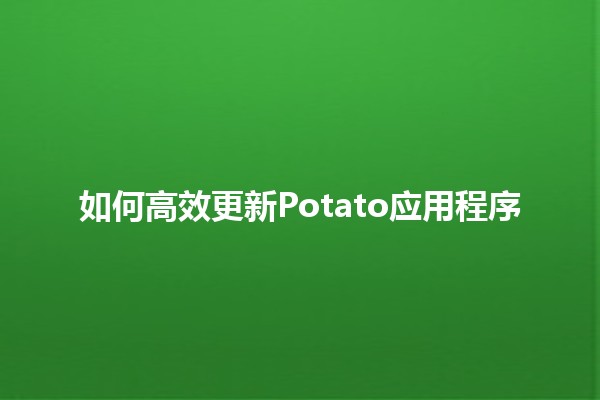 如何高效更新📱Potato应用程序