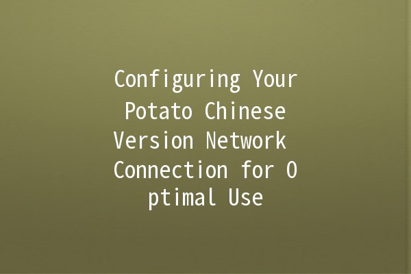 Configuring Your Potato Chinese Version Network Connection for Optimal Use 🚀🌐