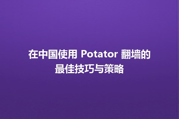 🌐 在中国使用 Potator 翻墙的最佳技巧与策略💻