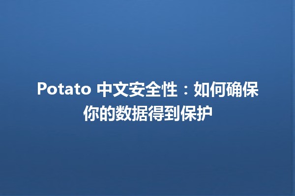 Potato 中文安全性🛡️🥔：如何确保你的数据得到保护