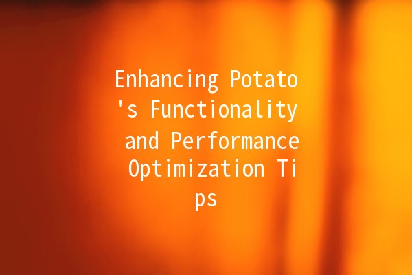 Enhancing Potato's Functionality and Performance Optimization Tips 🥔✨