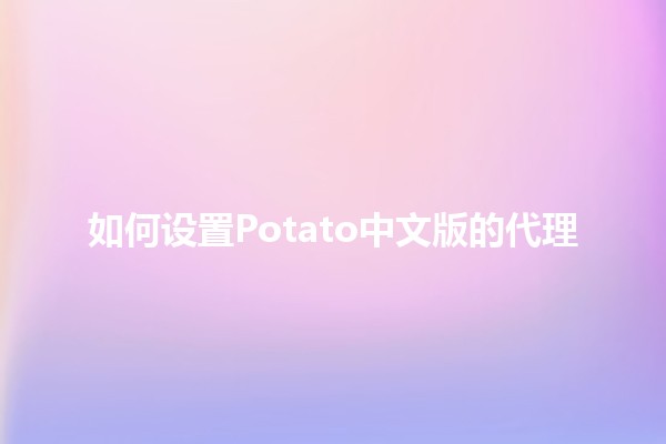 如何设置Potato中文版的代理 🌐💻