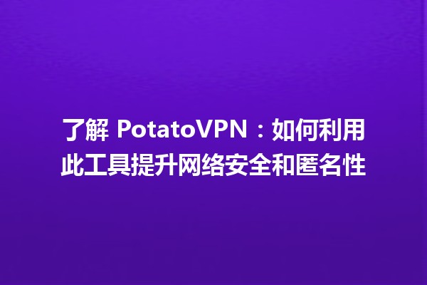 🤖🔒 了解 PotatoVPN：如何利用此工具提升网络安全和匿名性