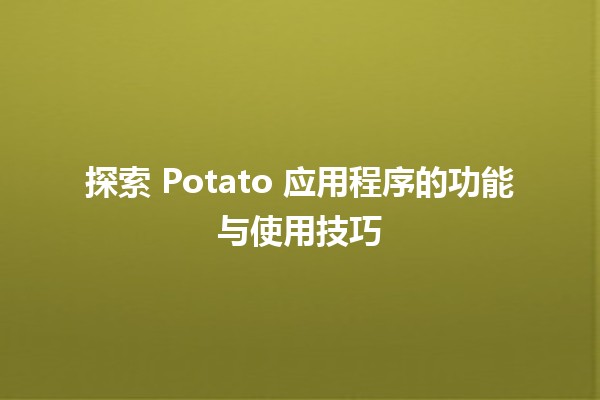 探索 Potato 应用程序的功能与使用技巧 🥔✨