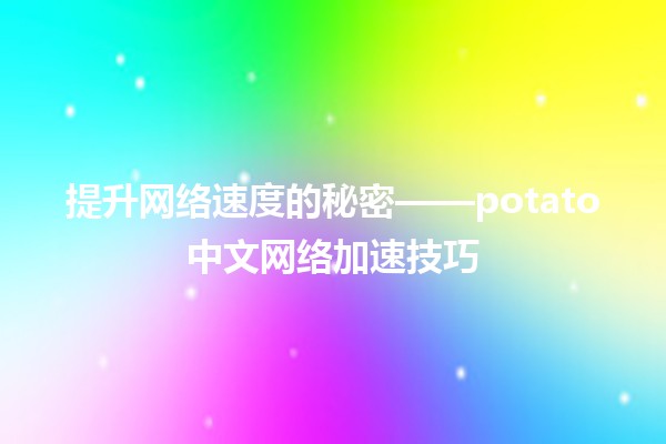 🚀 提升网络速度的秘密🍟——potato中文网络加速技巧