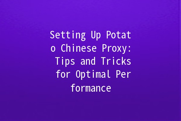 Setting Up Potato Chinese Proxy: Tips and Tricks for Optimal Performance 🍟🌐