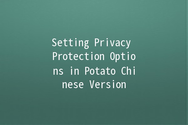 Setting Privacy Protection Options in Potato Chinese Version 🥔🔒