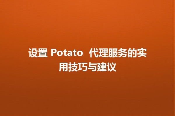 设置 Potato 🥔 代理服务的实用技巧与建议