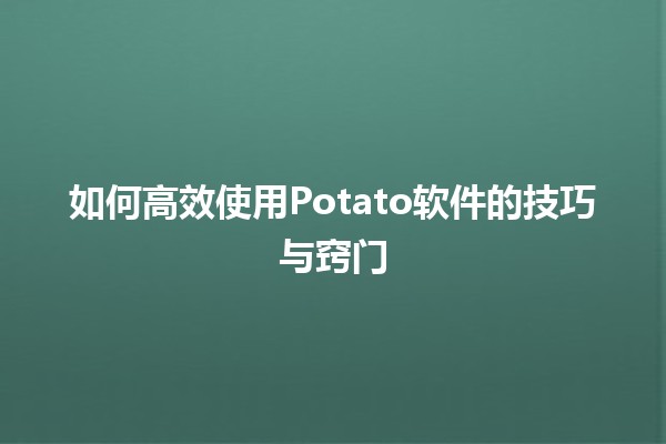 如何高效使用Potato软件的技巧与窍门 💻🥔