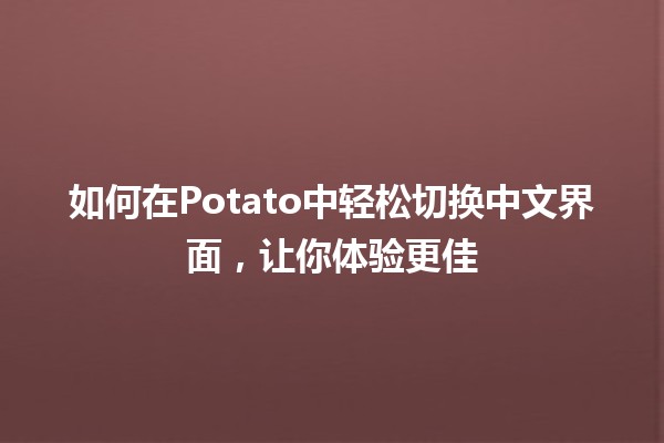 🎉 如何在Potato中轻松切换中文界面，让你体验更佳🎈