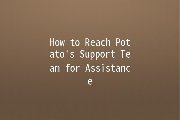 How to Reach Potato's Support Team for Assistance 🥔📞