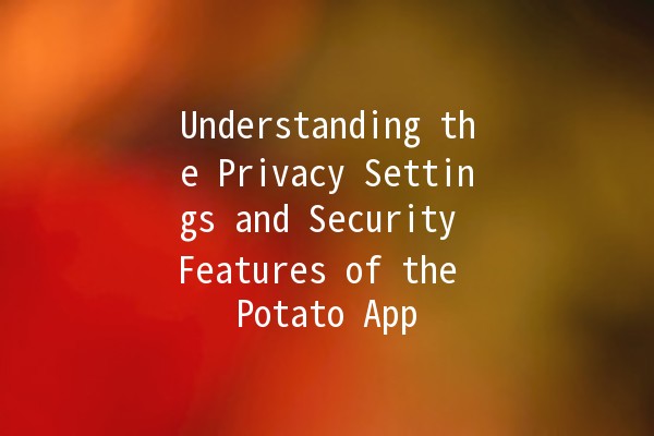 Understanding the Privacy Settings and Security Features of the Potato App 🍟🔒