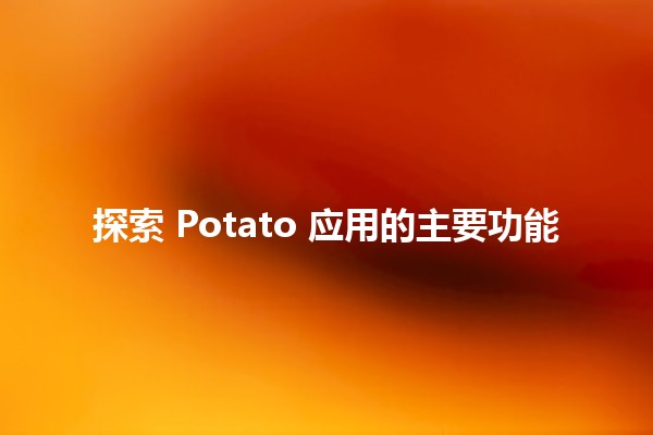 🚀 探索 Potato 应用的主要功能💡