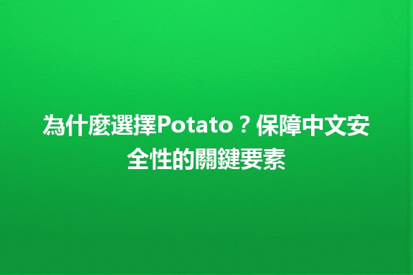 🍟 為什麼選擇Potato？保障中文安全性的關鍵要素