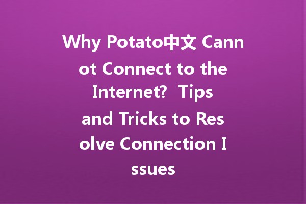 Why Potato中文 Cannot Connect to the Internet? 🌐🥔 Tips and Tricks to Resolve Connection Issues