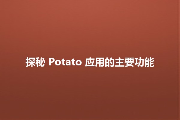 探秘 Potato 应用的主要功能 🥔💡