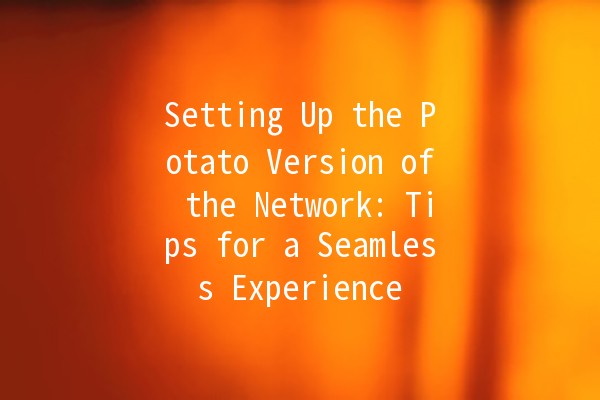 Setting Up the Potato Version of the Network: Tips for a Seamless Experience 🍟🌐