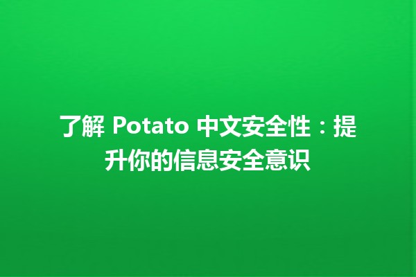 🍟 了解 Potato 中文安全性：提升你的信息安全意识 🚀