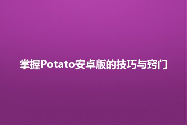 掌握Potato安卓版的技巧与窍门📱✨