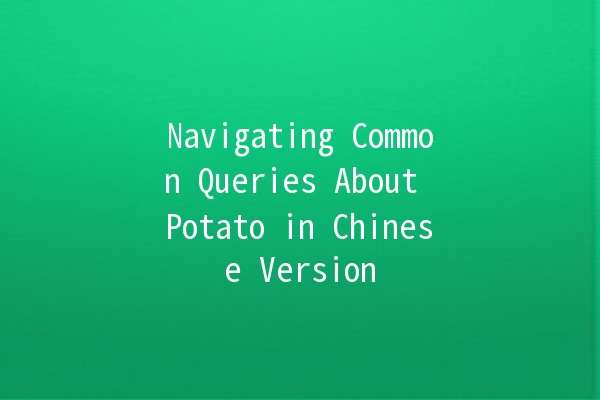 Navigating Common Queries About Potato in Chinese Version 🥔✨