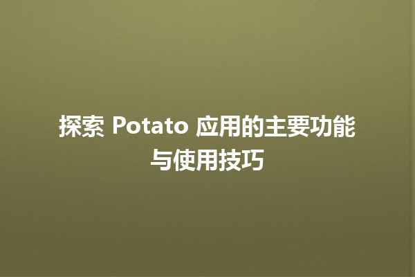 🚀 探索 Potato 应用的主要功能与使用技巧 🥔