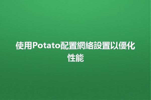 使用Potato配置網絡設置以優化性能💻🚀