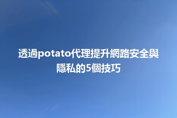 透過🛡️potato代理提升網路安全與隱私的5個技巧