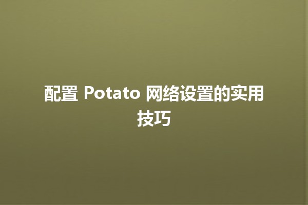 配置 Potato 网络设置的实用技巧 🚀💡