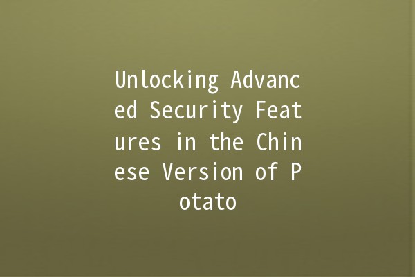 Unlocking Advanced Security Features in the Chinese Version of Potato 🍟🔒