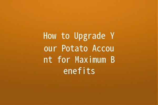 How to Upgrade Your Potato Account for Maximum Benefits 🥔🚀