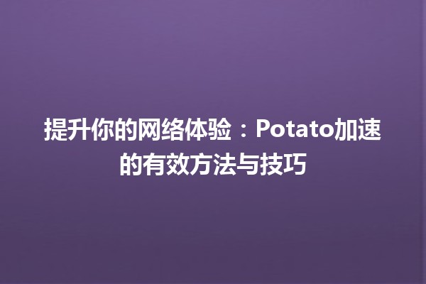 🚀 提升你的网络体验：Potato加速的有效方法与技巧 🥔