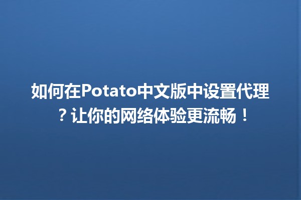 🍟 如何在Potato中文版中设置代理？让你的网络体验更流畅！🚀