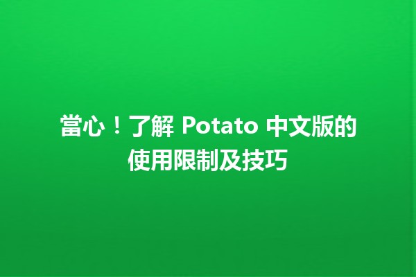 🚧 當心！了解 Potato 中文版的使用限制及技巧 ⚡