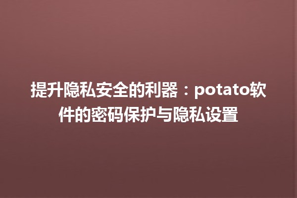 提升隐私安全的利器💻：potato软件的密码保护与隐私设置