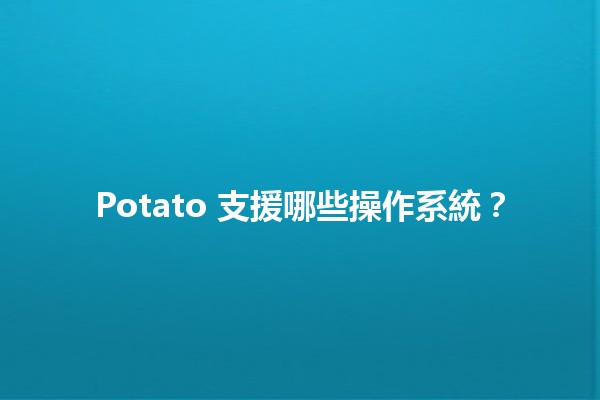 Potato 支援哪些操作系統？🖥️🍟