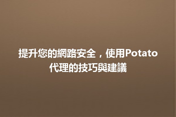 提升您的網路安全，使用🥔Potato代理的技巧與建議