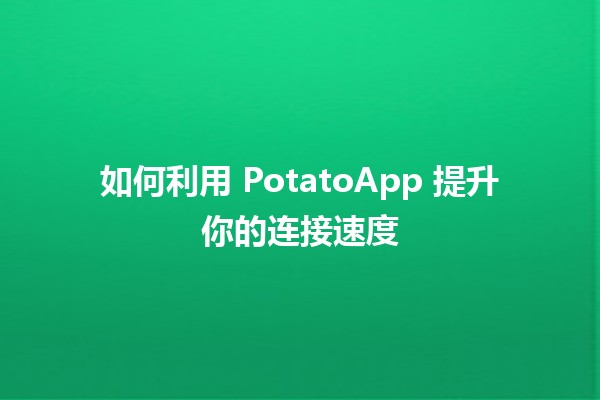 如何利用 PotatoApp 提升你的连接速度 🚀🌐