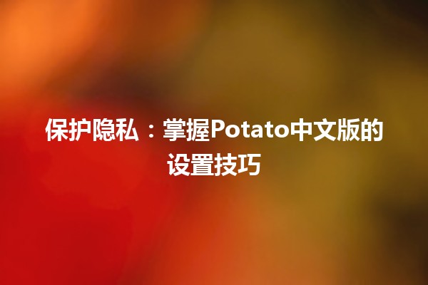 保护隐私🛡️：掌握Potato中文版的设置技巧