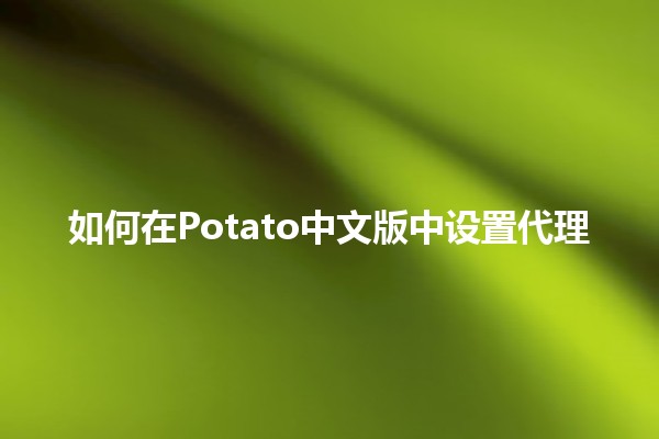 如何在Potato中文版中设置代理🌐🛠️