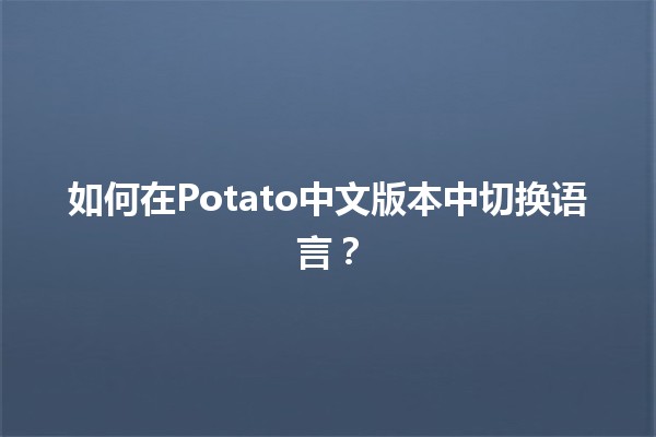 🍟 如何在Potato中文版本中切换语言？