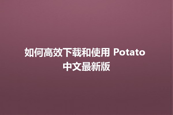 如何高效下载和使用 Potato 中文最新版 🥔✨