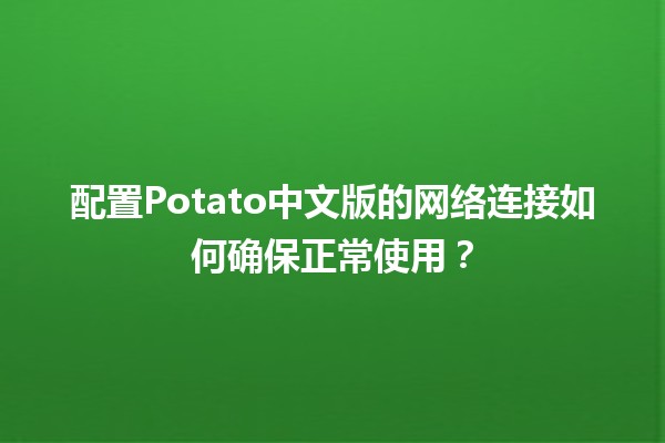 配置Potato中文版的网络连接💻如何确保正常使用？