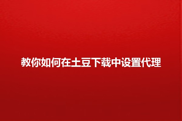 教你如何在土豆下载中设置代理 🌐🔧