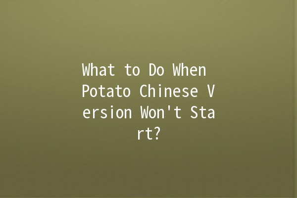 What to Do When Potato Chinese Version Won't Start? 🤔💻