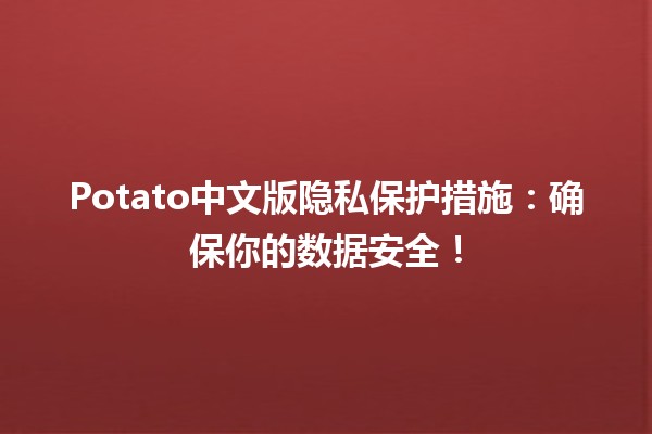 🍟🥔 Potato中文版隐私保护措施：确保你的数据安全！