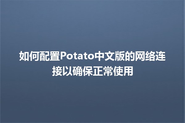 如何配置Potato中文版的网络连接以确保正常使用💻🌐